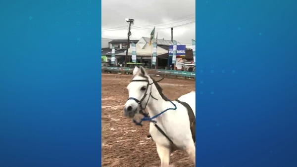 Menina de 12 anos controla cavalo desgovernado em feira agrícola