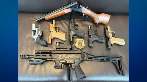 PF apreende 7 armas de Mario Frias em operação sobre filme ‘Dark Horse’