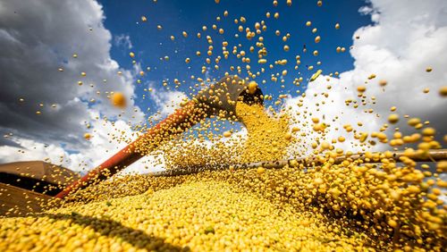 Produção agrícola brasileira superou R$ 927 bilhões em 2025