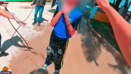 Motociclista resgata menina atacada por abelhas em Belo Horizonte
