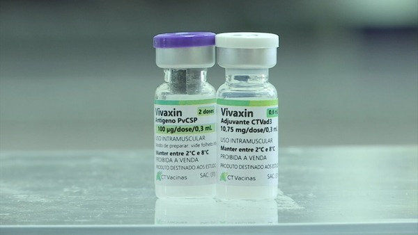 Vacina brasileira contra malária avança e inicia testes em humanos