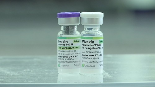 Vacina brasileira contra malária avança e inicia testes em humanos