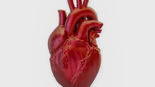 A cada 72 segundos, uma pessoa morre por doença cardiovascular no país
