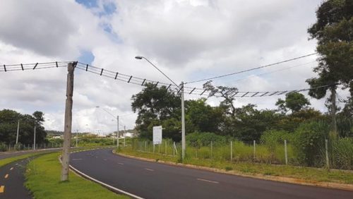 Animais silvestres ganham travessia em Ribeirão