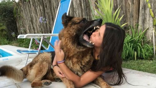 Jovem toma mordida no rosto ao tentar tirar fotos com cão
