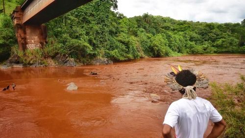 Um ano depois, Rio Paraopeba ainda não se recuperou da lama
