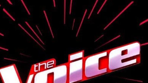 Boninho anuncia edição do "The Voice Brasil" para maiores de 60 anos